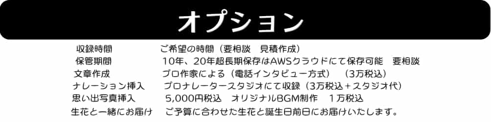追加オプション