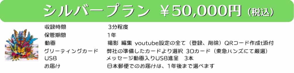 シルバープラン