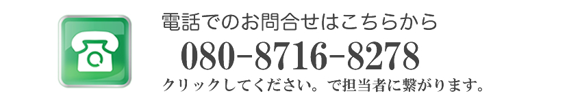 問い合わせ電話08087168278まで