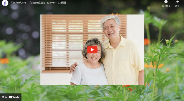 youtubeサンプル動画